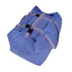 Bag with Buckles